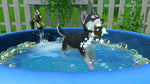 Little Friends: Puppy Island - Nintendo Switch - Retro Island Gaming