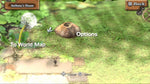 Marble Saga Kororinpa - Wii - Retro Island Gaming