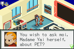 Mega Man Battle Network - GameBoy Advance - Retro Island Gaming