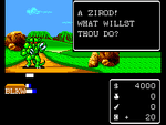 Miracle Warriors - Sega Master System - Retro Island Gaming