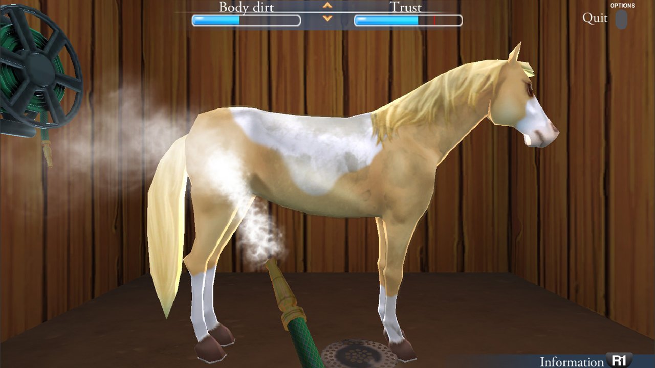 My Riding Stables: Life with Horses - Playstation 4 - Retro Island Gaming