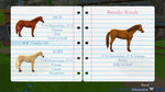My Riding Stables: Life with Horses - Playstation 4 - Retro Island Gaming