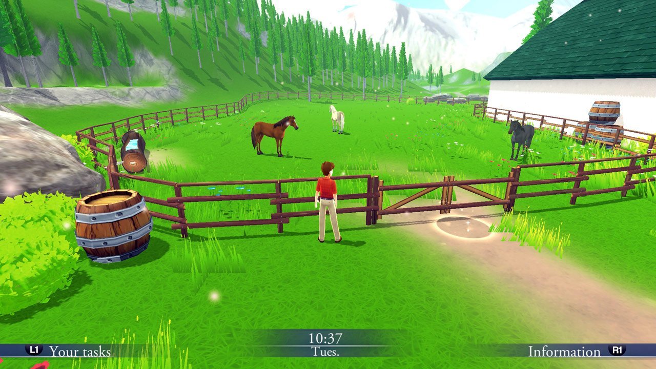 My Riding Stables: Life with Horses - Playstation 4 - Retro Island Gaming