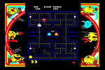 Namco Museum [Player's Choice] - Gamecube - Retro Island Gaming