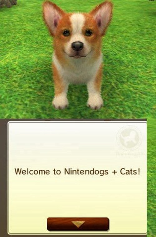 Nintendogs + Cats: Toy Poodle & New Friends - Nintendo 3DS - Retro Island Gaming