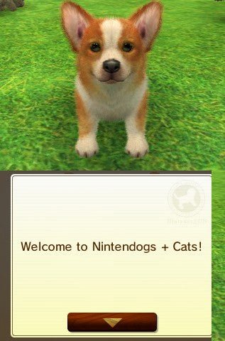 Nintendogs + Cats: Toy Poodle & New Friends - Nintendo 3DS - Retro Island Gaming