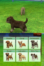Nintendogs + Cats: Toy Poodle & New Friends - Nintendo 3DS - Retro Island Gaming