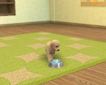 Nintendogs + Cats: Toy Poodle & New Friends - Nintendo 3DS - Retro Island Gaming