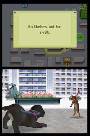 Nintendogs Best Friends - Nintendo DS