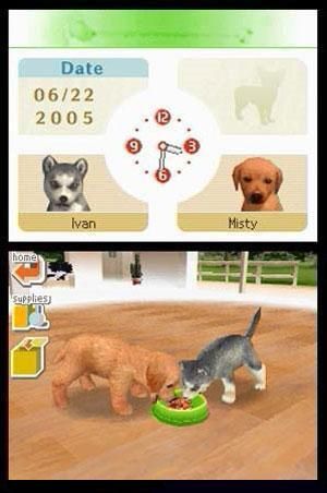 Nintendogs Best Friends - Nintendo DS