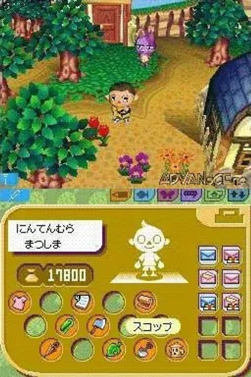 Oideyo Dobutsu no Mori - JP Nintendo DS - Retro Island Gaming