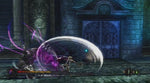Pandora's Tower - Wii - Retro Island Gaming