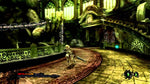 Pandora's Tower - Wii - Retro Island Gaming