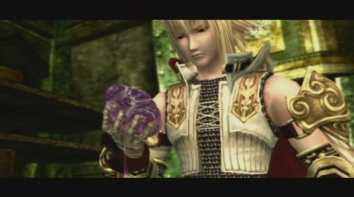 Pandora's Tower - Wii - Retro Island Gaming