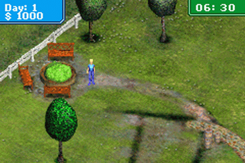 Paws & Claws Pet Resort - GameBoy Advance - Retro Island Gaming