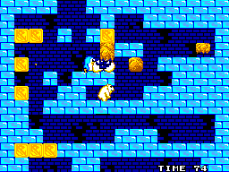 Penguin Land - Sega Master System - Retro Island Gaming
