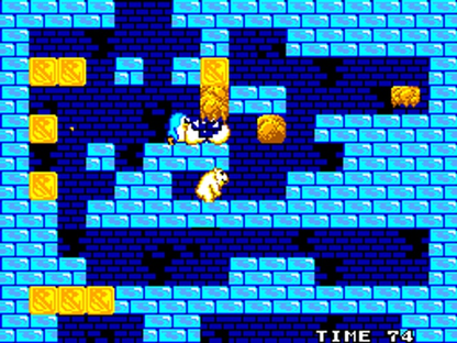 Penguin Land - Sega Master System - Retro Island Gaming