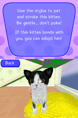 Petz Catz 2 - Nintendo DS - Retro Island Gaming