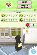 Petz: Dogz Talent Show - Nintendo DS - Retro Island Gaming