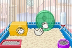 Petz Hamsterz 2 - GameBoy Advance - Retro Island Gaming