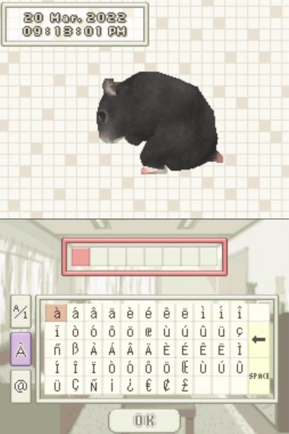 Petz Hamsterz Life 2 - Nintendo DS - Retro Island Gaming