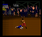Pit - Fighter - Super Nintendo - Retro Island Gaming