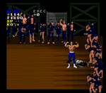 Pit - Fighter - Super Nintendo - Retro Island Gaming