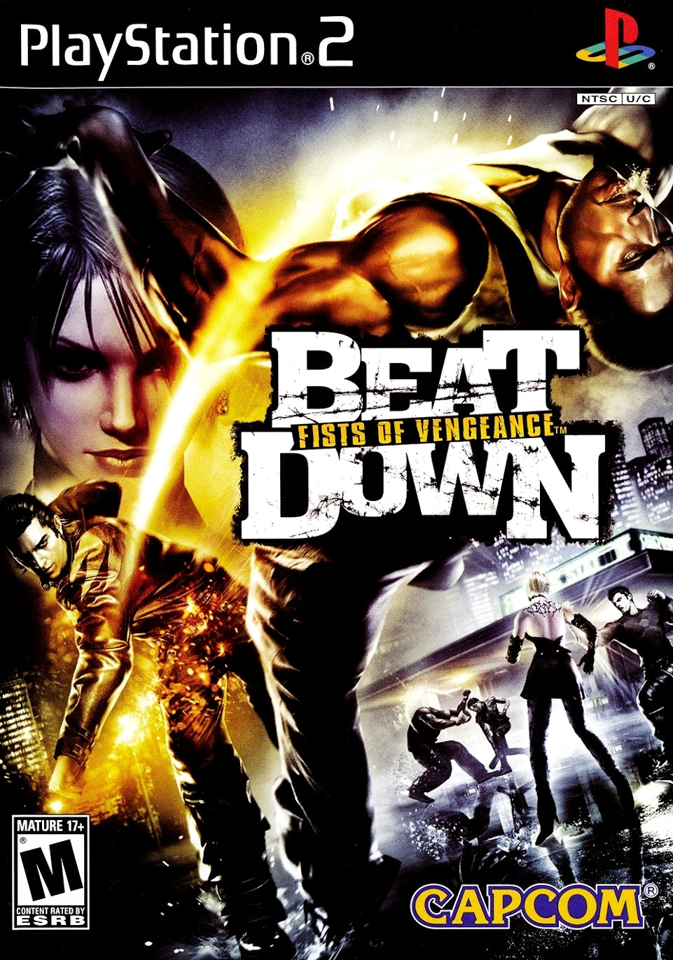 Beat Down Fists of Vengeance - Playstation 2