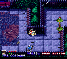 Pocky & Rocky - Super Nintendo - Retro Island Gaming