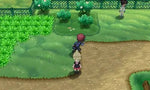 Pokemon X - JP Nintendo 3DS - Retro Island Gaming