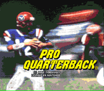 Pro Quarterback - Super Nintendo - Retro Island Gaming