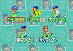 Pro Yakyuu Team mo Tsukurou - JP Sega Saturn - Retro Island Gaming