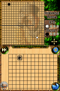 Professor Brainium's Games - Nintendo DS - Retro Island Gaming