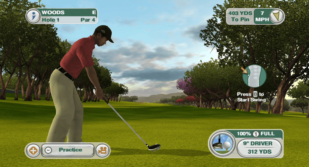Tiger Woods 2009 All-Play - Wii