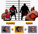 Ready 2 Rumble Boxing - GameBoy Color - Retro Island Gaming