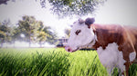 Real Farm - Xbox One - Retro Island Gaming