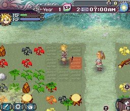Rune Factory 3: A Fantasy Harvest Moon - Nintendo DS - Retro Island Gaming