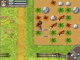 Rune Factory A Fantasy Harvest Moon - Nintendo DS - Retro Island Gaming