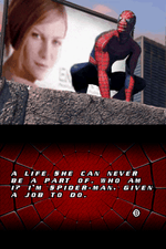 Spiderman 2 - Nintendo DS - Retro Island Gaming