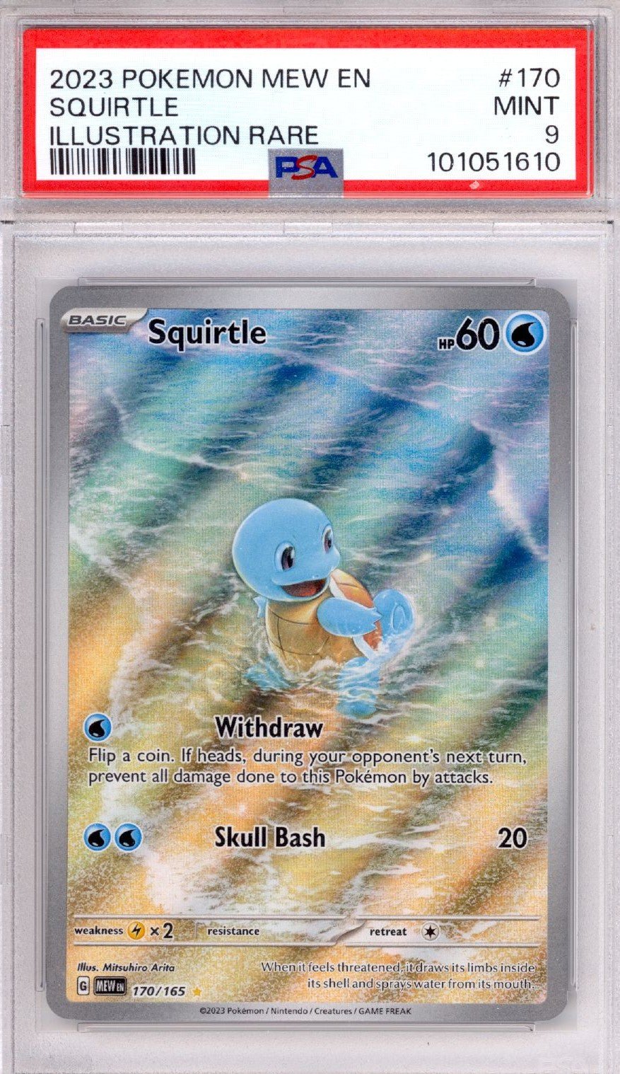 Squirtle 