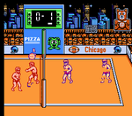Super Spike Volleyball - NES - Retro Island Gaming