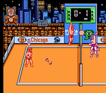 Super Spike Volleyball - NES - Retro Island Gaming