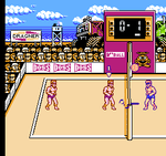 Super Spike Volleyball - NES - Retro Island Gaming