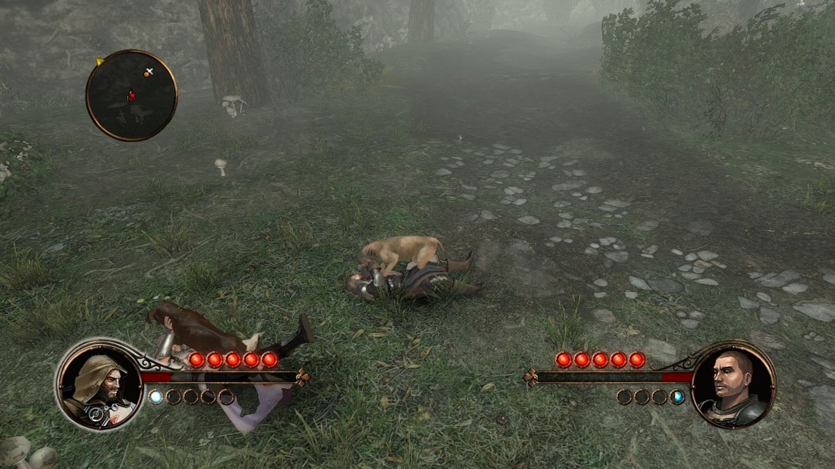 The First Templar - Xbox 360 - Retro Island Gaming