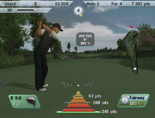 Tiger Woods 2009 - Playstation 2 - Retro Island Gaming