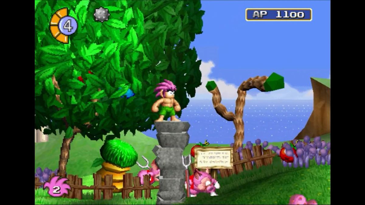 Tomba!: Special Edition - Nintendo Switch - Retro Island Gaming
