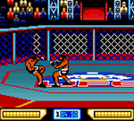 Ultimate Fighting Championship - GameBoy Color - Retro Island Gaming