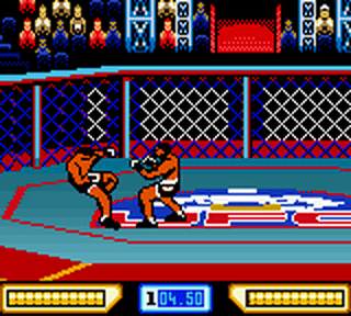 Ultimate Fighting Championship - GameBoy Color - Retro Island Gaming