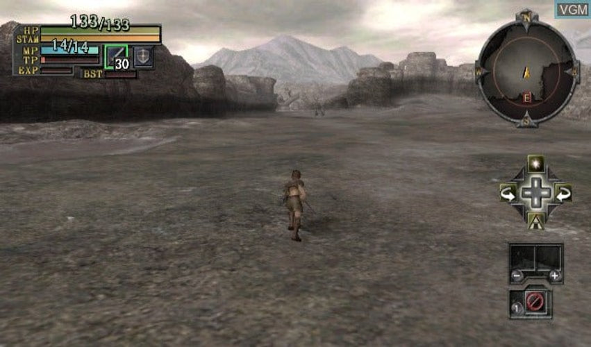 Valhalla Knights: Eldar Saga - Wii - Retro Island Gaming