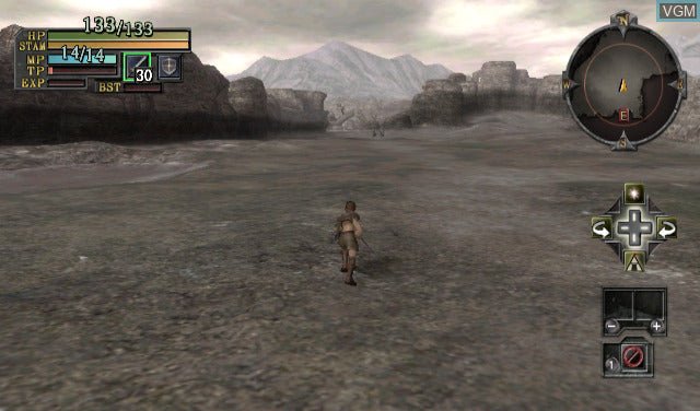 Valhalla Knights: Eldar Saga - Wii - Retro Island Gaming